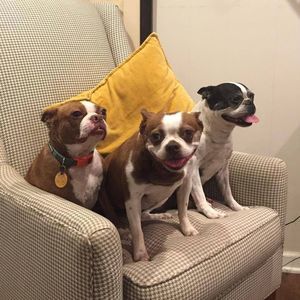 Meet your Posher, Mark